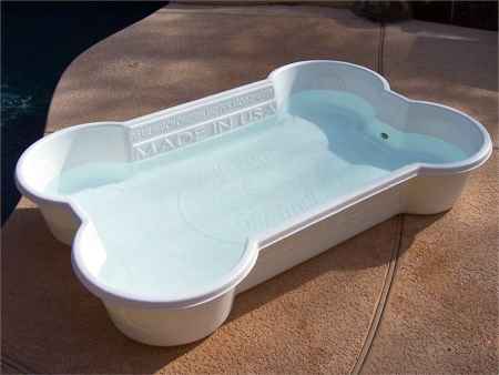 bone-shaped-dog-pool1