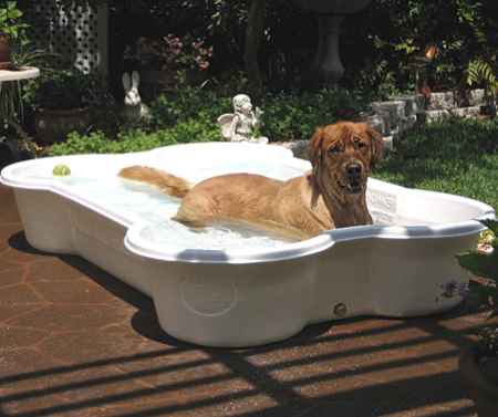 bone-shaped-dog-pool3