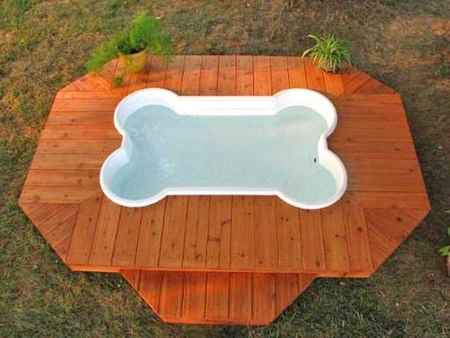 bone-shaped-dog-pool4