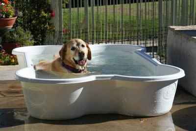 bone-shaped-dog-pool7