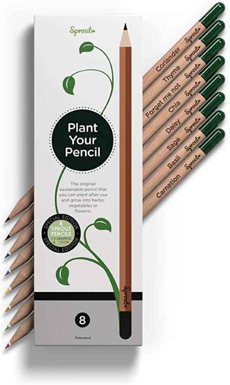 colored-plantable-pencils15