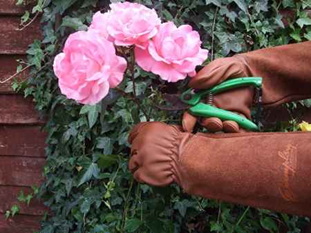 thorn-proof-gardening-gloves3